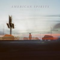 Drumming Bird - American Spirits