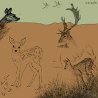samuelo - Doe: Fawns B-Sides & Bonuses
