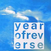 Kaz Moon - Year Of Reverse