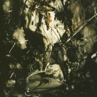 Fields of the Nephilim - Elizium