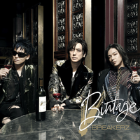 BREAKERZ - Bintage