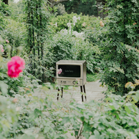 chef's - Garden Variety