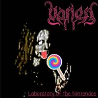 Vanen - Laboratory of the Nintendos