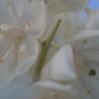 Marine Eyes - Endings, Beginnings