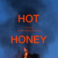 Ti&euml;sto - Hot Honey