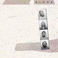 Surfer Blood - Covers