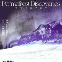 AJ Suede - Permafrost Discoveries