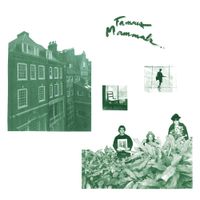 Famous Mammals - Famous Mammals [Vinyl Issue]