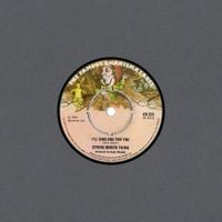 String Driven Thing - I'll Sing One for You