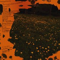 delayed minds - You were also a dandelion