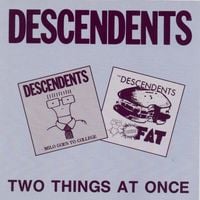 Descendents - Two Things at Once