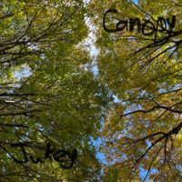 Jukey - Canopy