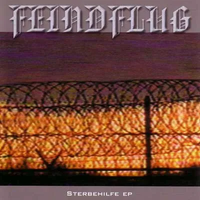 Feindflug - Sterbehlife