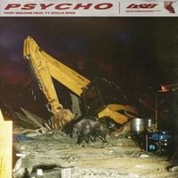 Post Malone - Psycho