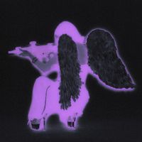 REHMA - DIVA