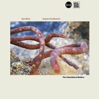 Eugene Chadbourne - The Coincidence Masters