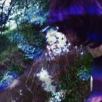 Quixi - annulled