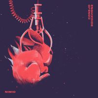 Conejo Esquizoide - Nimio