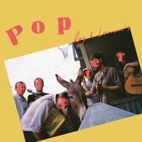 Pop Filter - Ray and Lorraine's