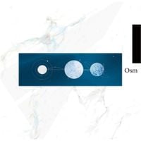 水中スピカ [Suichu Spica] - Osm