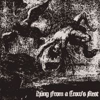 Shenk - Hung From a Crow's Nest