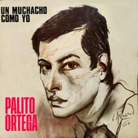 Palito Ortega - Un muchacho como yo