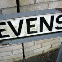 The Evens - 2 Songs