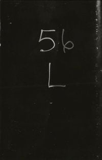 Muudo - 56 L
