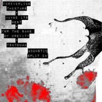 tsuyouma - acoustic split '24