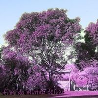 amuy - FIM DO MUNDO (Deluxe)