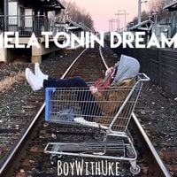 BoyWithUke - nihlist