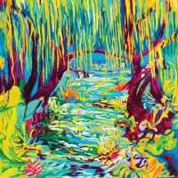 Jungle Jack - JUNGLE DES ILLUSIONS VOL 2