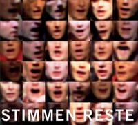 Einst&uuml;rzende Neubauten - Stimmen Reste