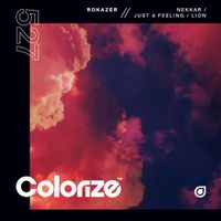 Rokazer - Nekkar / Just A Feeling / Lion