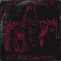Psychedelic Witchcult - They Used Dark Forces