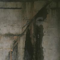 Grith - mold