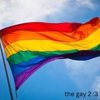 Gay MacDonald - The Gay 2: I have no idea on what i am doing, btw this is better than The Brave 2