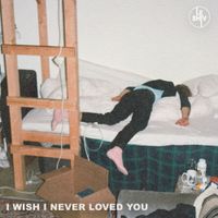 Le Shiv - I Wish I Never Loved You