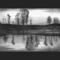 Nayru - This Disease of Language