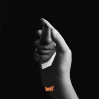 Sina - WTF
