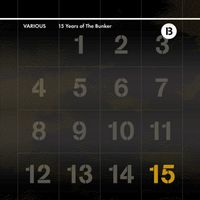 Various Artists - 15 Years Of The Bunker