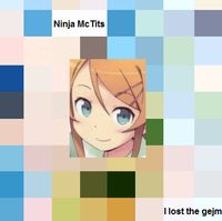 Ninja McTits - I Lost The Gejm