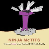Ninja McTits - Enormous Purple Sports Stadium 10,000 Feet In The Sky