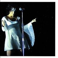 Bj&ouml;rk - Homogenic Live