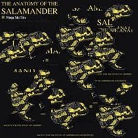 Ninja McTits - The Anatomy Of The Salamander