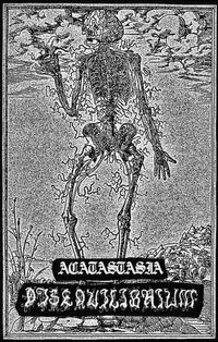 Disequilibrium - Acatastasia