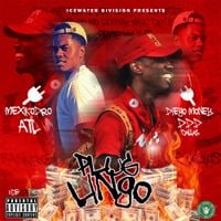 Diego Money - Plug Lingo