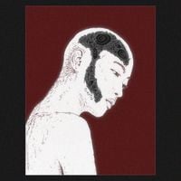 LLAAPPSSEE - CELPH SIFER