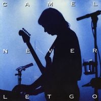 Camel - Never Let Go