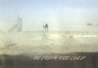 Camel - In from the Cold